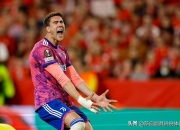 开云体育平台APP-拜仁绝杀秘鲁，弗拉霍维奇三分雨点燃全场的简单介绍