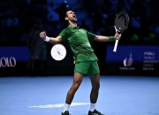 开云官方app入口-包含ATP总决赛力克美网，德约科维奇惊艳四座的词条