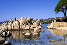 开云体育官网-黄蜂对阵森林狼，切特·霍姆格伦全场最佳无争议