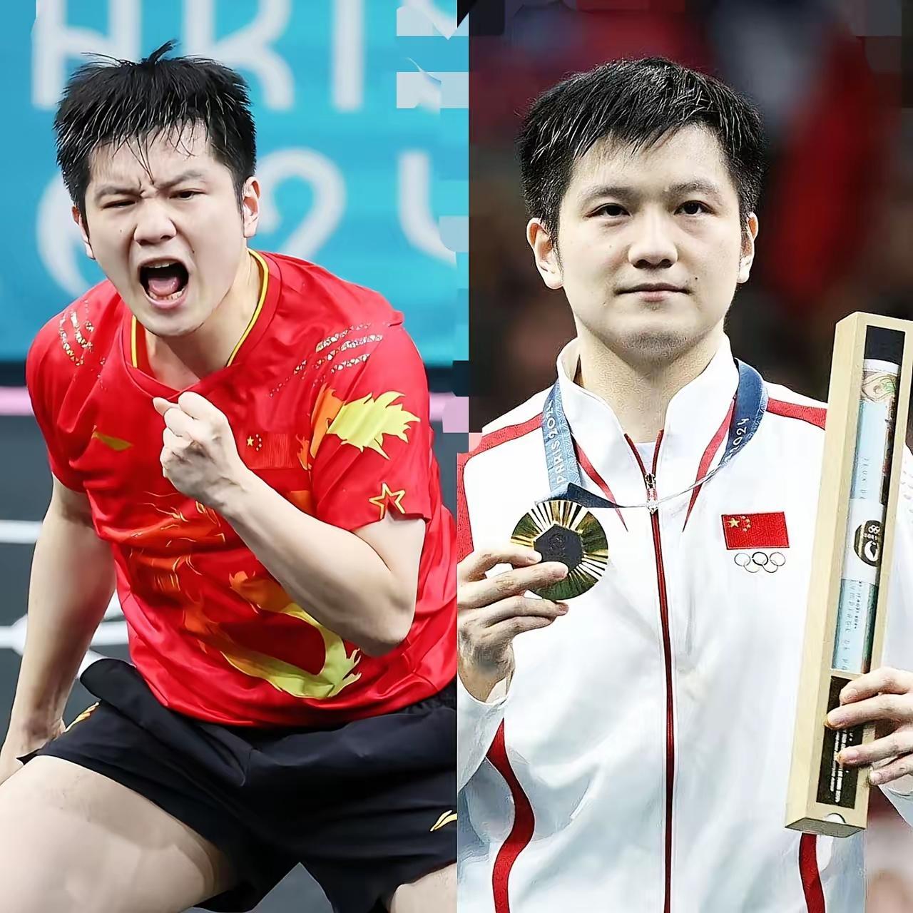 比利时乒乓球队碾压波兰乒乓球队，樊振东惊艳世界的简单介绍