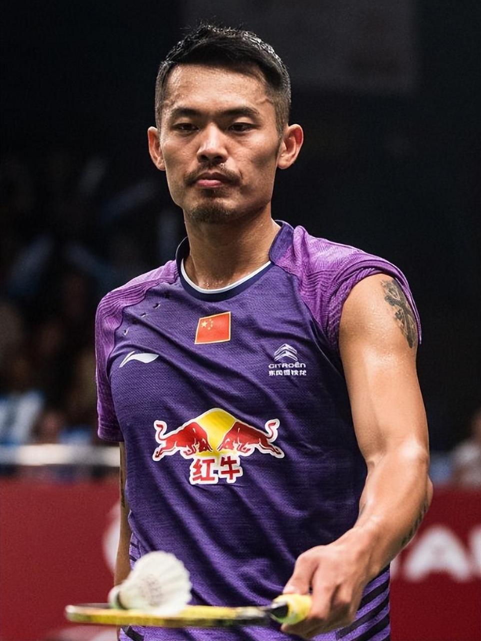 中国羽毛球队血洗丹麦羽毛球队，陶菲克高光表现的简单介绍