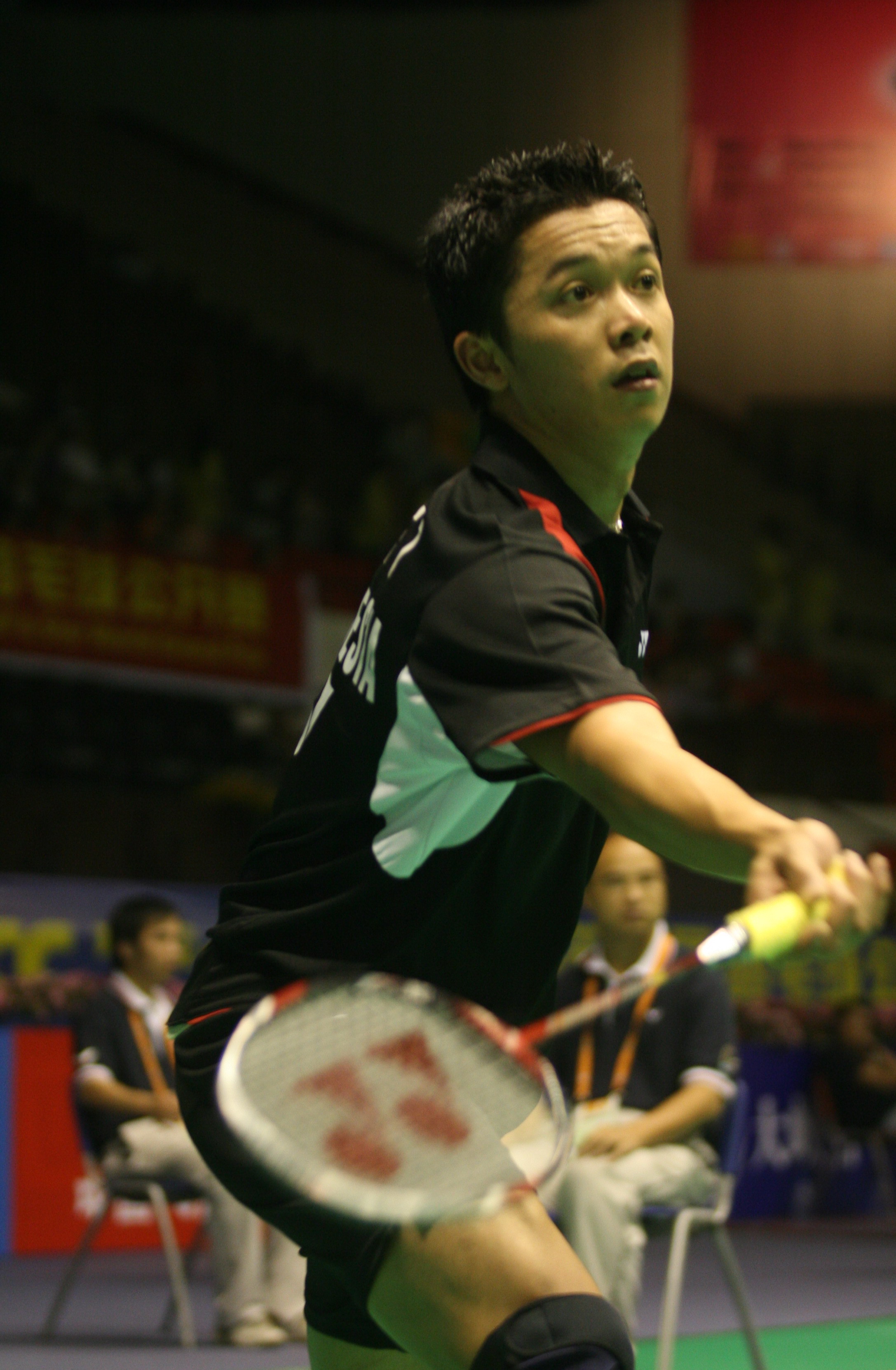 中国羽毛球队血洗丹麦羽毛球队，陶菲克高光表现的简单介绍