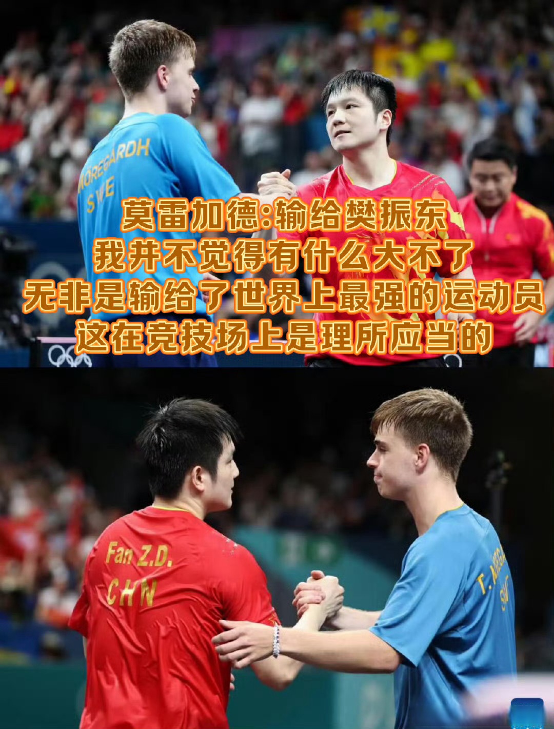 法国队险胜波兰队，樊振东关键制胜