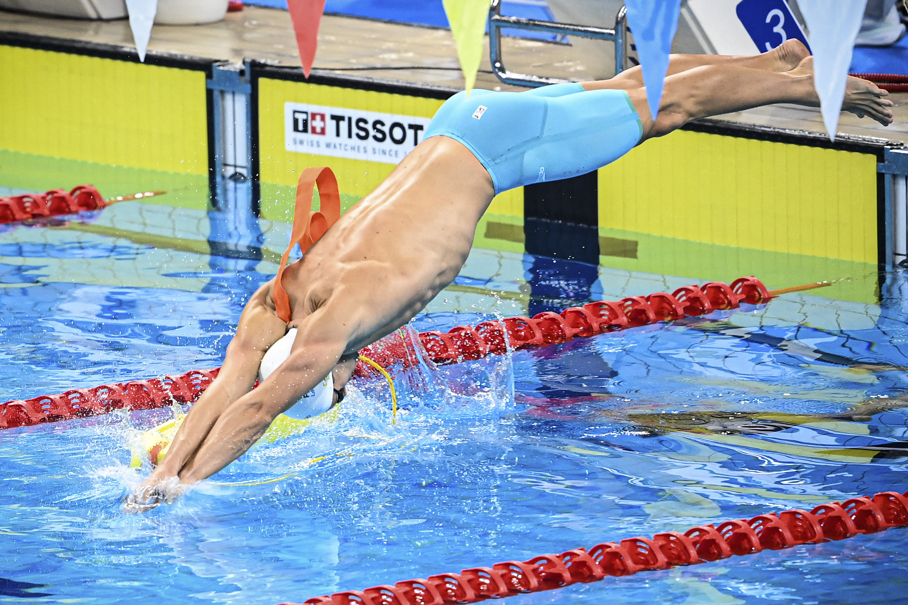 速度与激情！游泳男子接力决赛的简单介绍