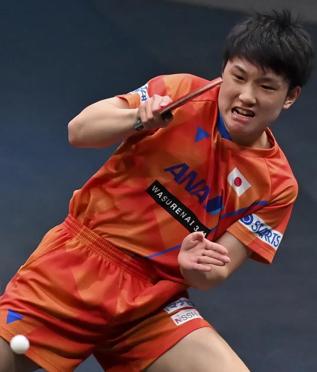 包含瑞典队完胜德国队，张本智和高光表现的词条