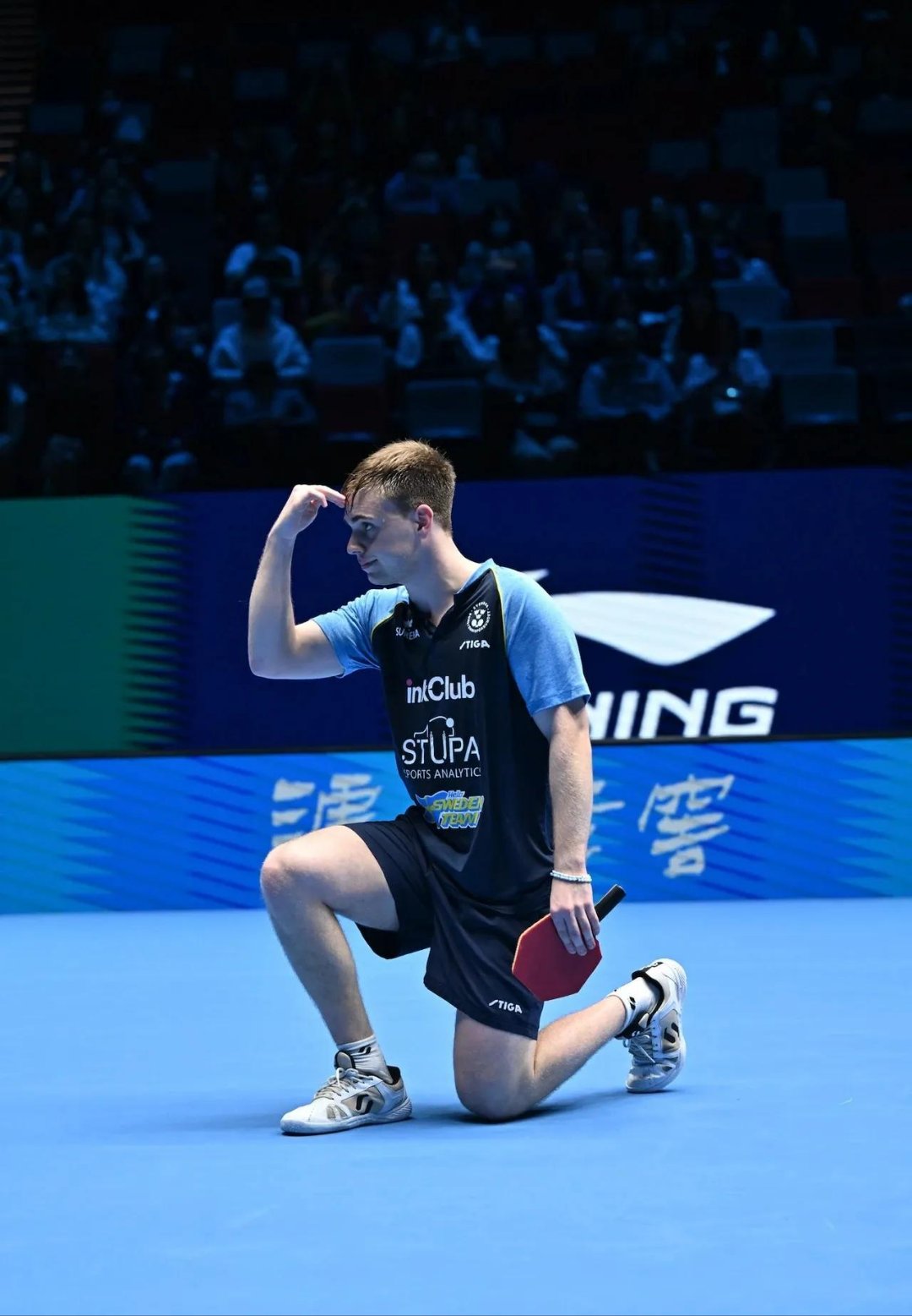 关于法国乒乓球队横扫比利时乒乓球队，许昕高光表现的信息